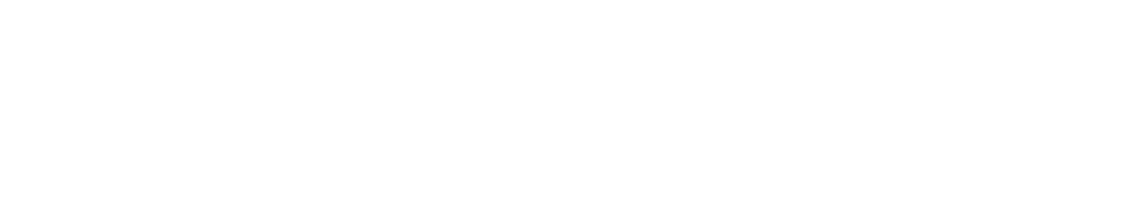 Stratum Foresight logo